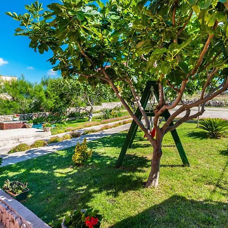 Apartment 2 Bedroom Beautiful In Razanac